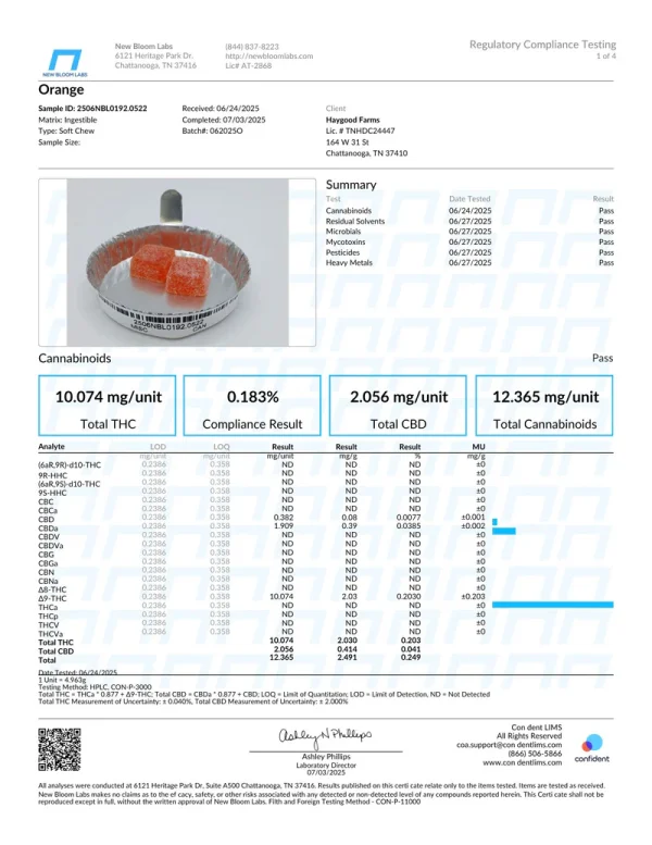 Scelerisque mauris pellentesque pulvinar