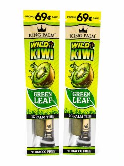 WhatsApp Image 2026-07-16 at 4.11.20 PM King Palm Wild Kiwi – Green Leaf Palm Tube