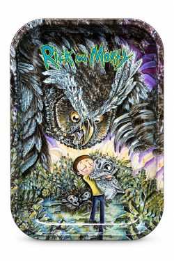 WhatsApp Image 2026-10-16 at 7.35.23 PM Bandeja Rick and Morty – Diseño Búho